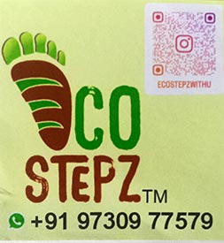 Ecostepz