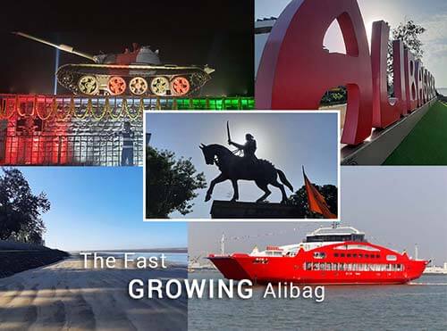 Fast growing Alibag