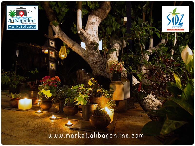 Sidtz Cottage Nagaon - Ambience