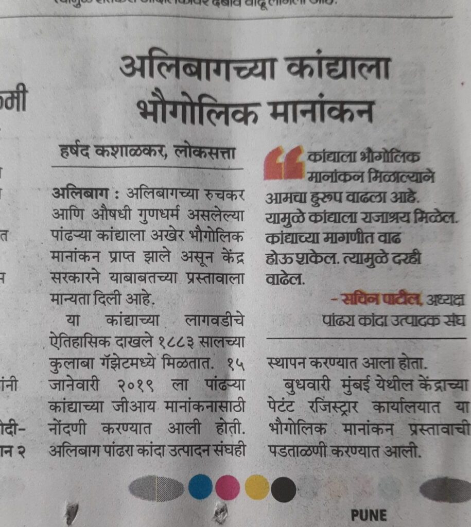 Alibag's white Onion - GI Tag