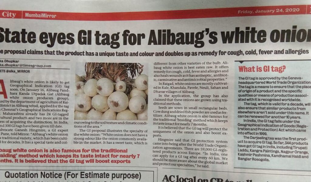 Alibag's white Onion - GI Tag